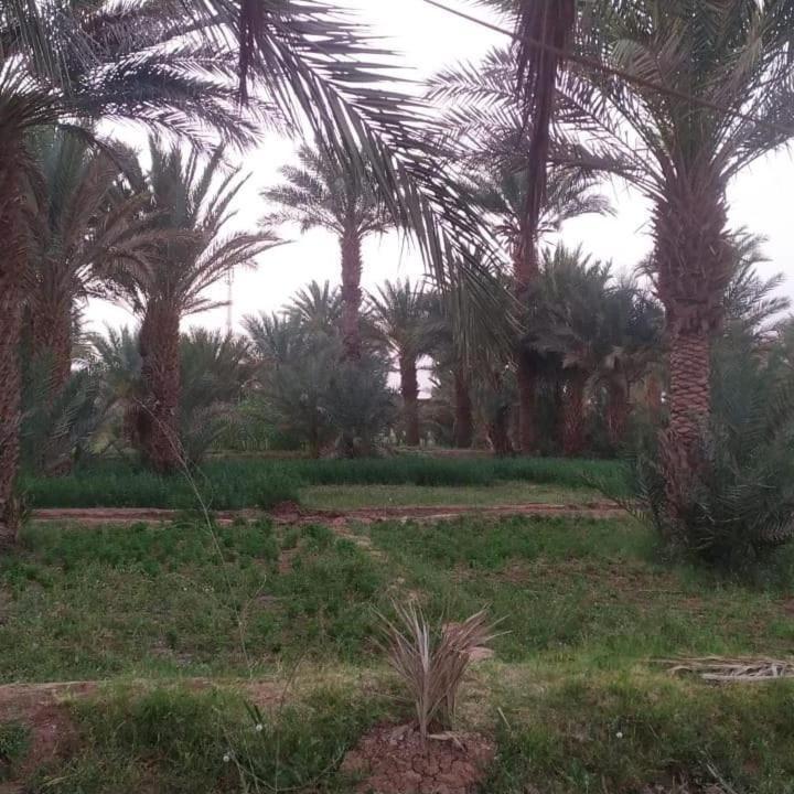 فندق Transit نواكشوط المظهر الخارجي الصورة